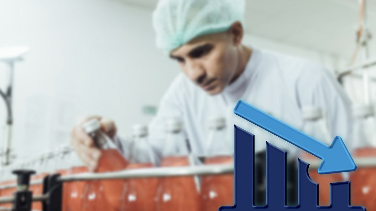 8alice nechita 002 1